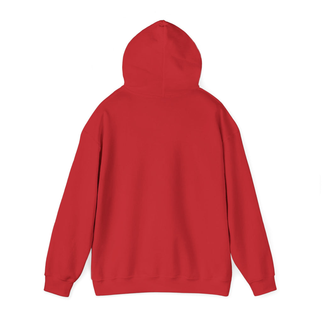 Youth Sports Club Hockey Hoodie - Retro Rainbow Logo