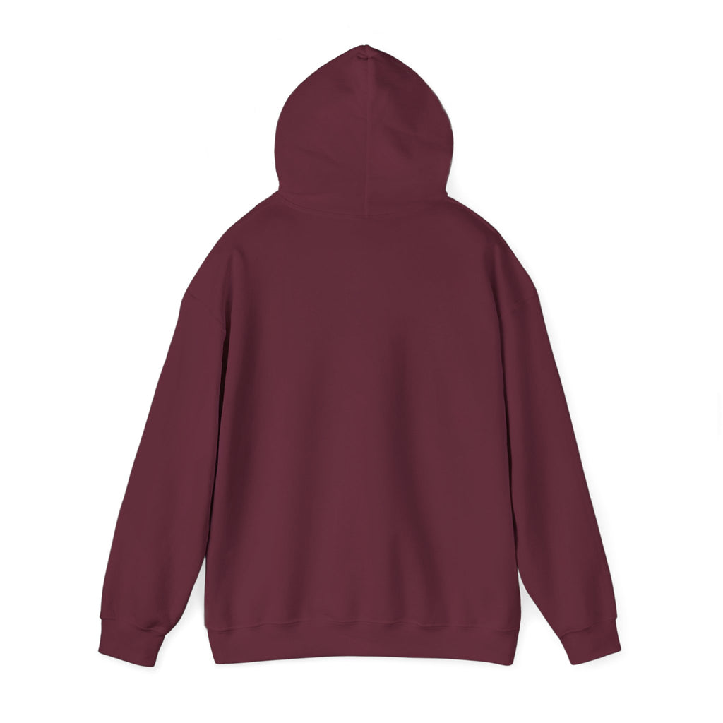 Youth Sports Club Hockey Hoodie - Retro Rainbow Logo