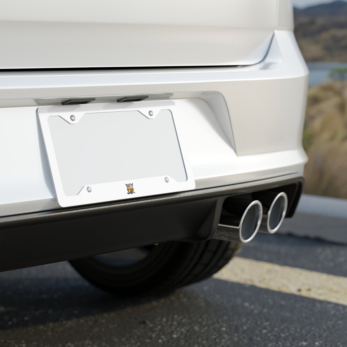 Metal License Plate Frame — Sleek Brushed Stainless Steel Car Tag Holder