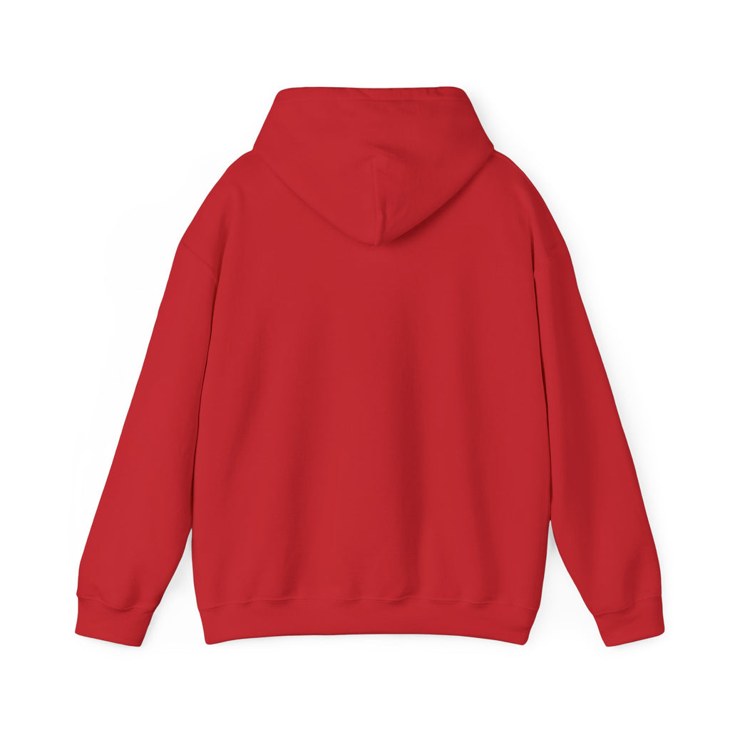Youth Sports Club Hockey Hoodie - Retro Rainbow Logo