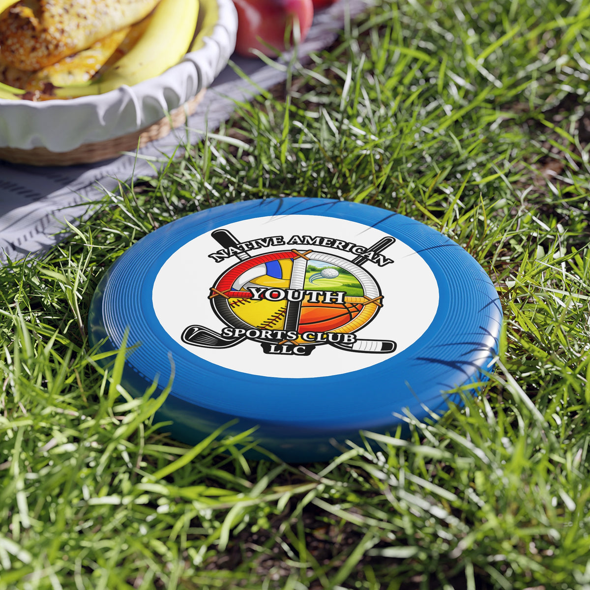 Wham-O Frisbee — Native American Youth Sports Club Logo Disc