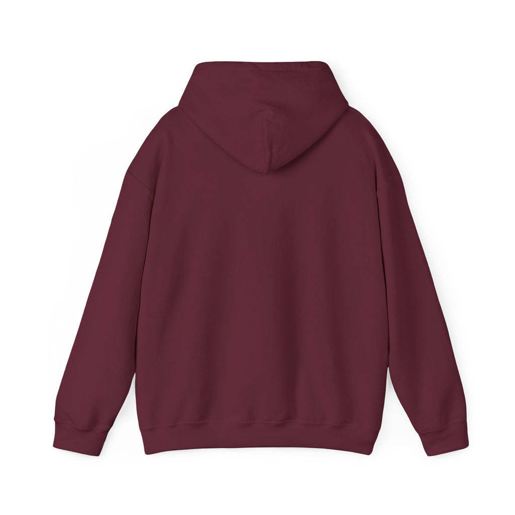 Youth Sports Club Hockey Hoodie - Retro Rainbow Logo
